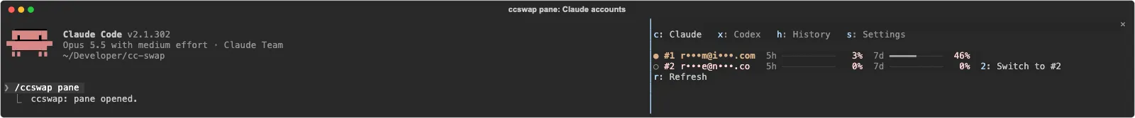 Screenshot of ccswap